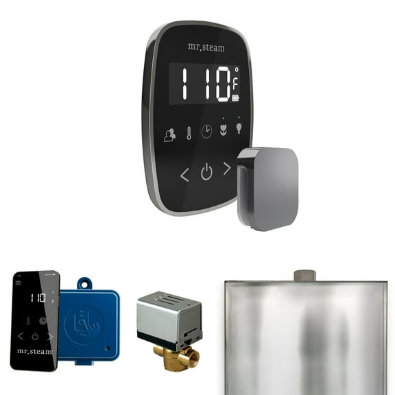 Mr Steam ButlerFlex Steam Shower Ctrl Pkg w/TempoFlex Control and Steamhead in Black Brilliant Black