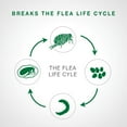 thumbnail image 3 of Advantage II Flea Treatment for Small Cats (2 doses), 3 of 8