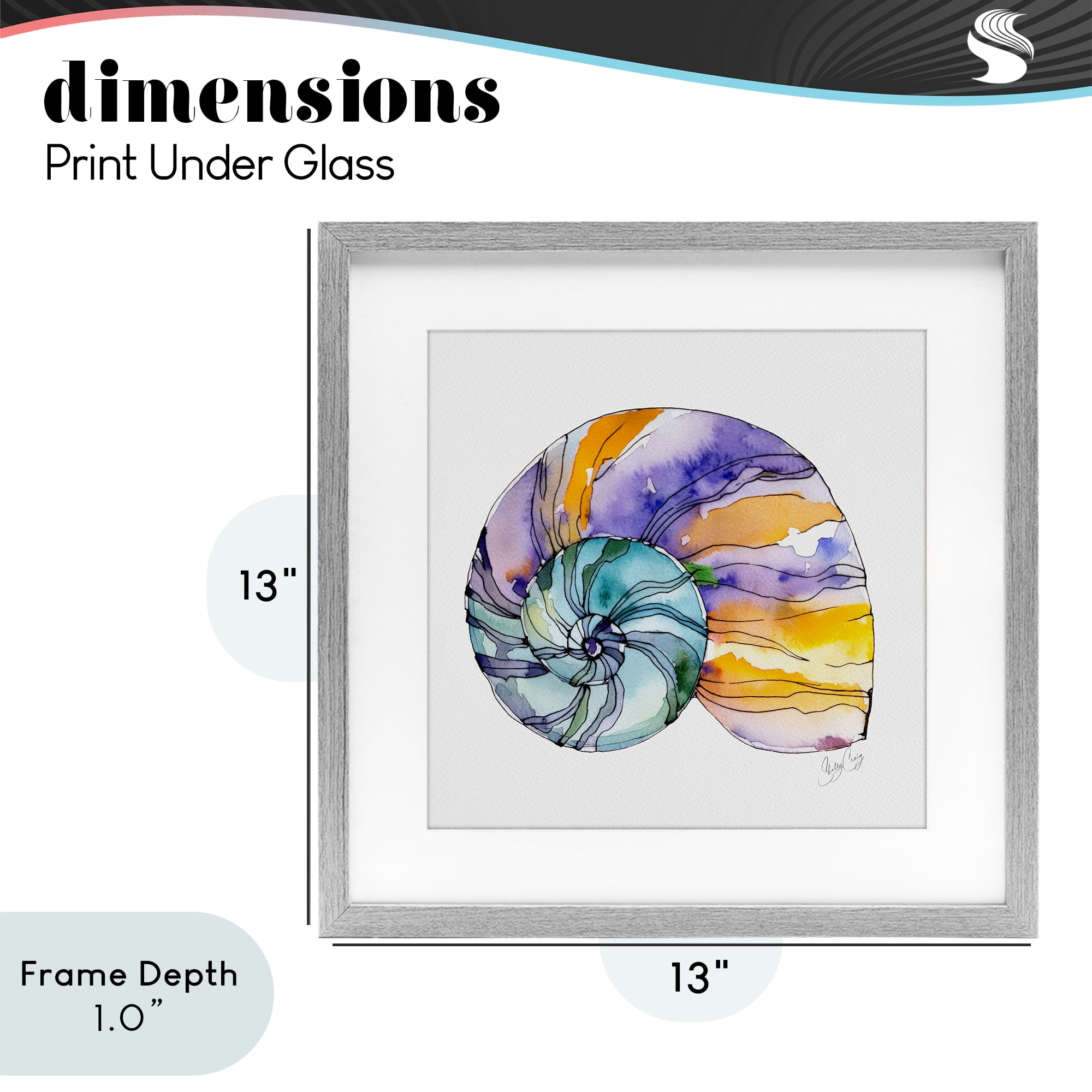 Stupell Industries Sunlit Striped Nautilus Gray Framed Print Under Glass, design by Shelly Craig
