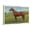 Canvas, variant on Art.com Man O'War, Kentucky Thoroughbred Art Print, White Frame Wall Art, 44" x 32"