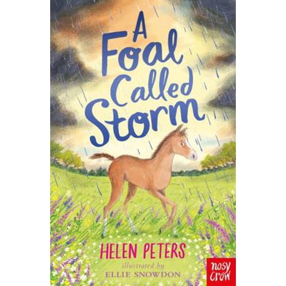 Pre-Owned A Foal Called Storm (Paperback) 1788009517 9781788009515