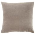 thumbnail image 1 of HomeRoots 386359 Taupe Soft Velvet Accent Throw Pillow, 1 of 1