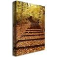 thumbnail image 2 of Trademark Fine Art "Fall Stairway" Canvas Art by Kurt Shaffer, 2 of 2