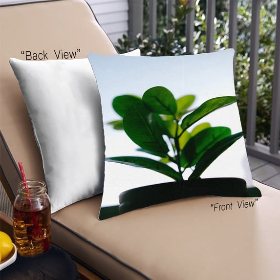 Ahgly Company Color Focus Green Outdoor Throw Pillow, 18 inch by 18 inch
