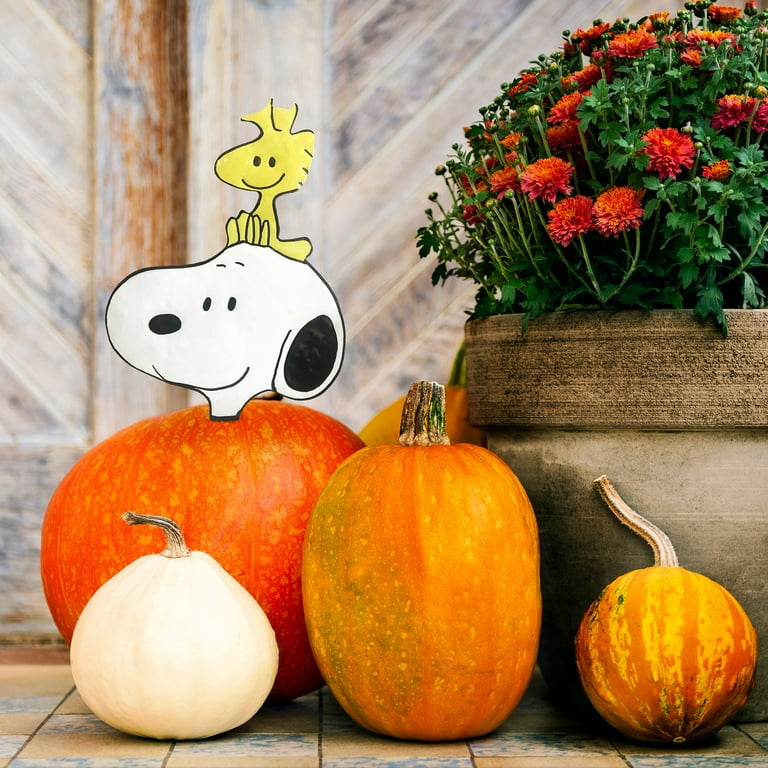 Peanuts 10.5Inch Pumpkin Press-In Snoopy & Woodstock