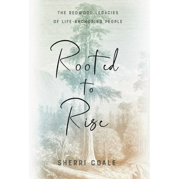 Rooted to Rise: The Redwood Legacies of Life-Anchoring People, (Hardcover)