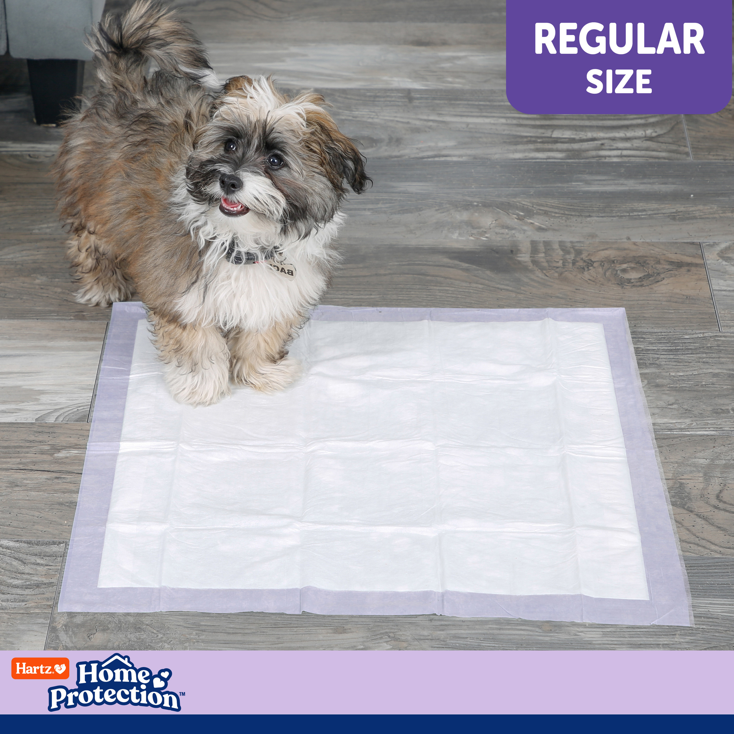 Hartz Home Protection Dog Pads, Regular 21" x 21", 50 Count photo 6