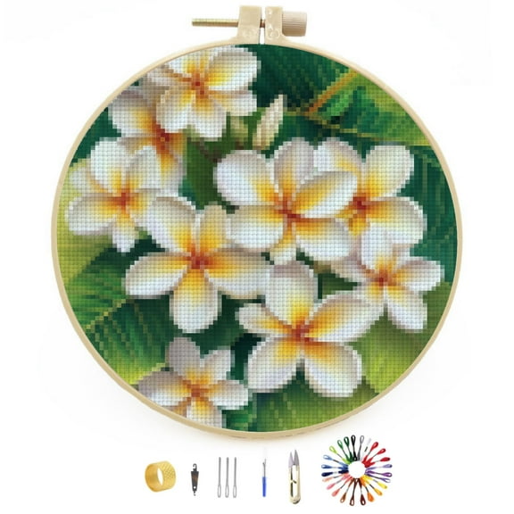 DIY Stamped Cross Stitch Kits Plumeria Flowers Easy for Beginners with Hoop 11CT Counted Embroidery Needlepoint Crafts Arts for Handmade Enthusiasts and Home Decor 30x30cm(5)