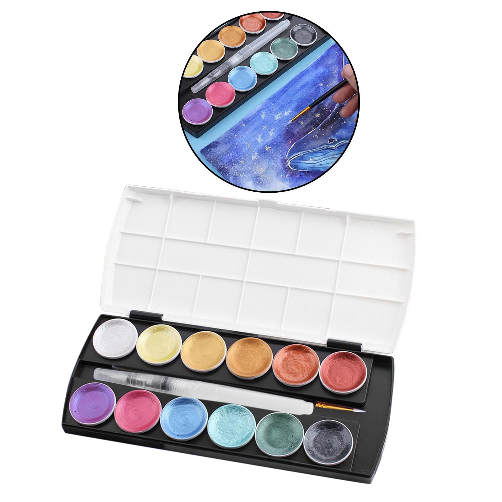 FVDPWYE Professional Watercolor Set 12 Colors Travel Pocket Paint Kit for Artist