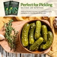 thumbnail image 5 of 3 Packs National Pickling Cucumber - Non-GMO Heirloom Vegetable Seeds - Full Sun Annual, 5 of 8
