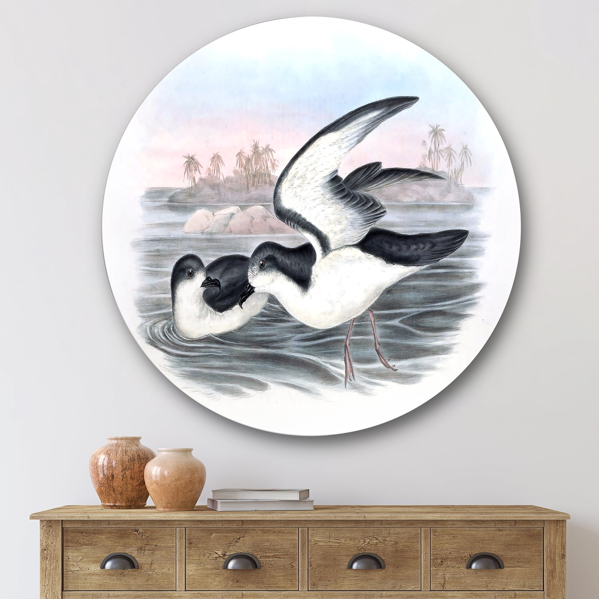 Designart 'Ancient Australian Birds X' Traditional Circle Metal Wall Art 36x36 - Disc of 36