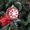 Red, variant on 3.14in Snowflake Christmas Balls, Colorful Holiday Ornaments for Tree Decoration, Festive Hanging Decorations, Home Décor and Party Accents