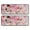 Pioneer Flower Floral-2, variant on Kitchen Rugs Sets Of 2,Pioneer Flower Floral Print Pattern Anti Fatigue Kitchen Mat Rugs Non Slip Washable,Decorative Kitchen Floor Mats for Kitchen,Sink,Laundry,17"x47" 17"x47"