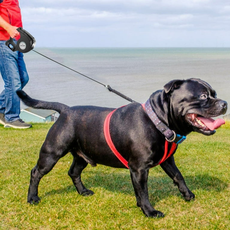Retractable leash cheap with poop bags