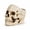 White-B, variant on DefiDgd Resin Small Skull Shaped Planter Pot,Multi FunctionStorage Bowl for Candy Snacks Succulent Cactus,Gothic Desktop Ornament for Halloween Home Office Indoor Tabletop Decor(Gold)