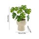 thumbnail image 3 of Artificial Bonsai Simulated Flowers Fake Green Plant Small Potted Floral Arrangement Desktop Decoration Handheld Wedding Bouquet Photography Prop, 3 of 5