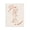 Life Collection Moments Toast, variant on Stupell Industries Contemporary Wine Club Every Day Canvas Art, 16 x 20, by The Prints Vibe