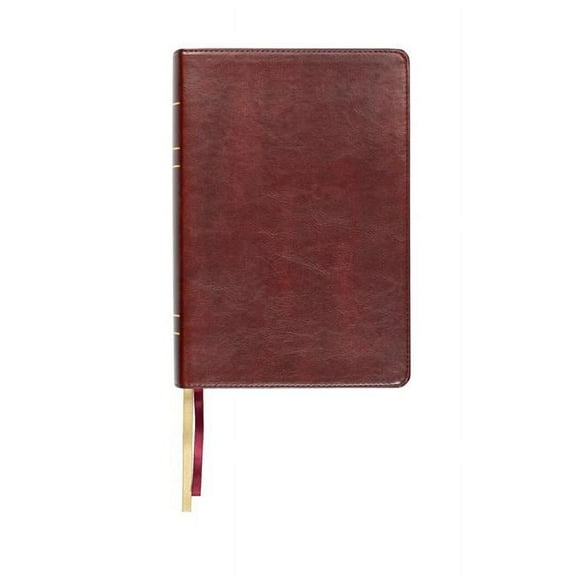 Steadfast Bibles  Legacy Standard Bible Large Print Wide Margin Bible, Paste-Down - Reddish Brown Faux Leather
