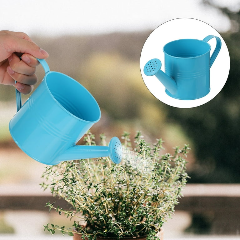 CATIEBYE Horticultural Watering Can for Home Gardening, Metal