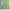Green, variant on Addison Rugs Indoor/ Outdoor Addison Bravado Abstract Starburst Washable Area Rug 1'8" x 2'6" - Blue