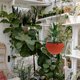 thumbnail image 4 of 2 unids plástico macetas de plástico casero balcón planta colgando canasta decorativo maceta, 4 of 5