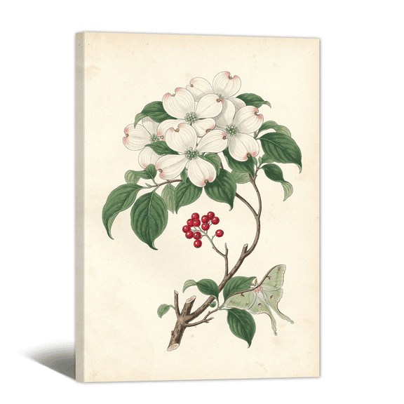Vintage Botanical Canvas Wall Art - White Dogwood Red Berry Picture Prints, Neutral Floral Aesthetic Artwork Paintings for Living Room Bedroom Home Decor