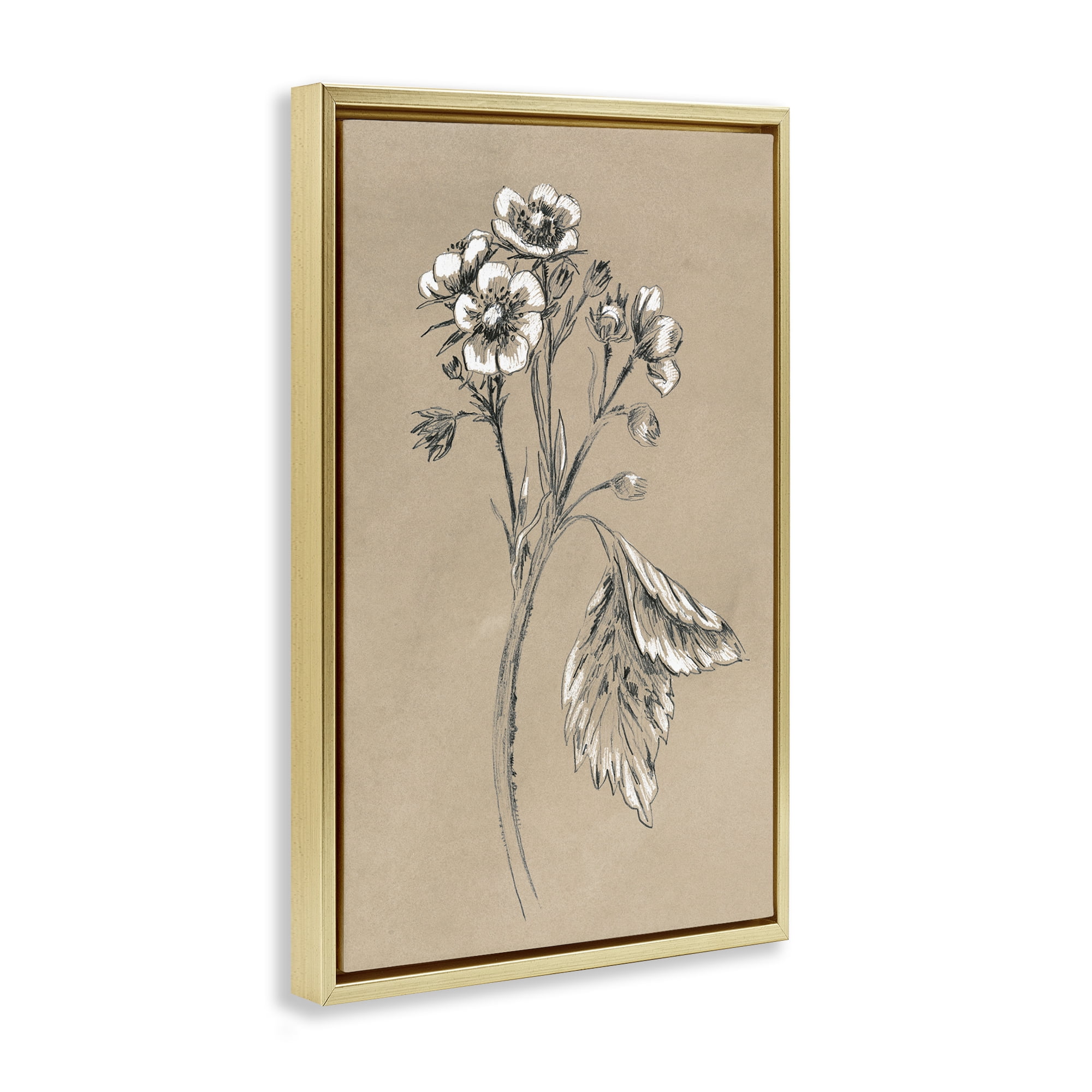Stupell Industries Flower Sprig Sketch Botanical & Floral Drawing Gold Floater Framed Art Print Wall Art, 21 x 31