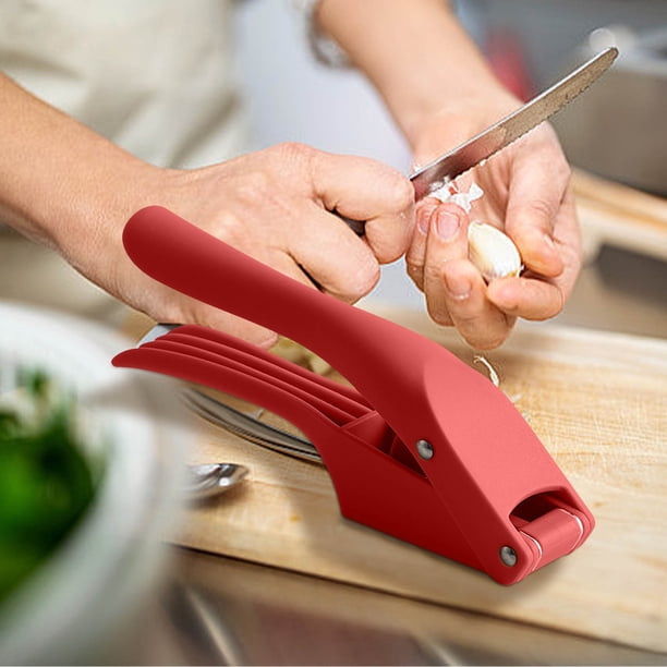 Fiudx Prensa de Ajo Ergonómica de Acero Inoxidable, Picadora de Ajo Fácil de Limpiar, Utensilio de Cocina Multifuncional, Ideal para Salsas y Aderezos de Pesto, Ideal para Amantes de La Cocina Casera