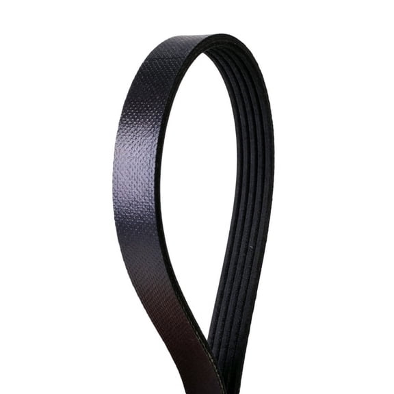 Automotive Metric Multi-V Belt