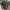 Green, variant on Awdenio Mens Tops Summer Short Knitted Lapel Loose Casual Outdoor Shirt Perfect for Adult Men,Size M-3XL