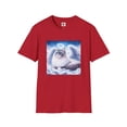 thumbnail image 6 of Ragdoll Cat, 6 of 10