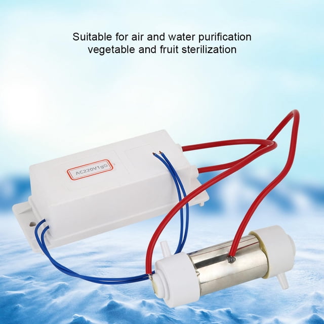 Generador de Ozono Multipropósito, Generador de Ozono Ozonizador Ionizador Purificador de Agua y Aire Máquina de Esterilización de Frutas Y Verduras para Agua, Alimentos, Hogar y Oficina(1g) Ecomeon no