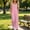 Pink, variant on Vornjynx Girls Overalls with Pocket Comfort Soft Straight Fit Summer Casual Trendy Jumpsuits Pink Size 6
