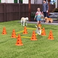thumbnail image 2 of Dog Agility Hurdle Cone Set, Adjustable Obstacle Course Equipment, 2 of 10