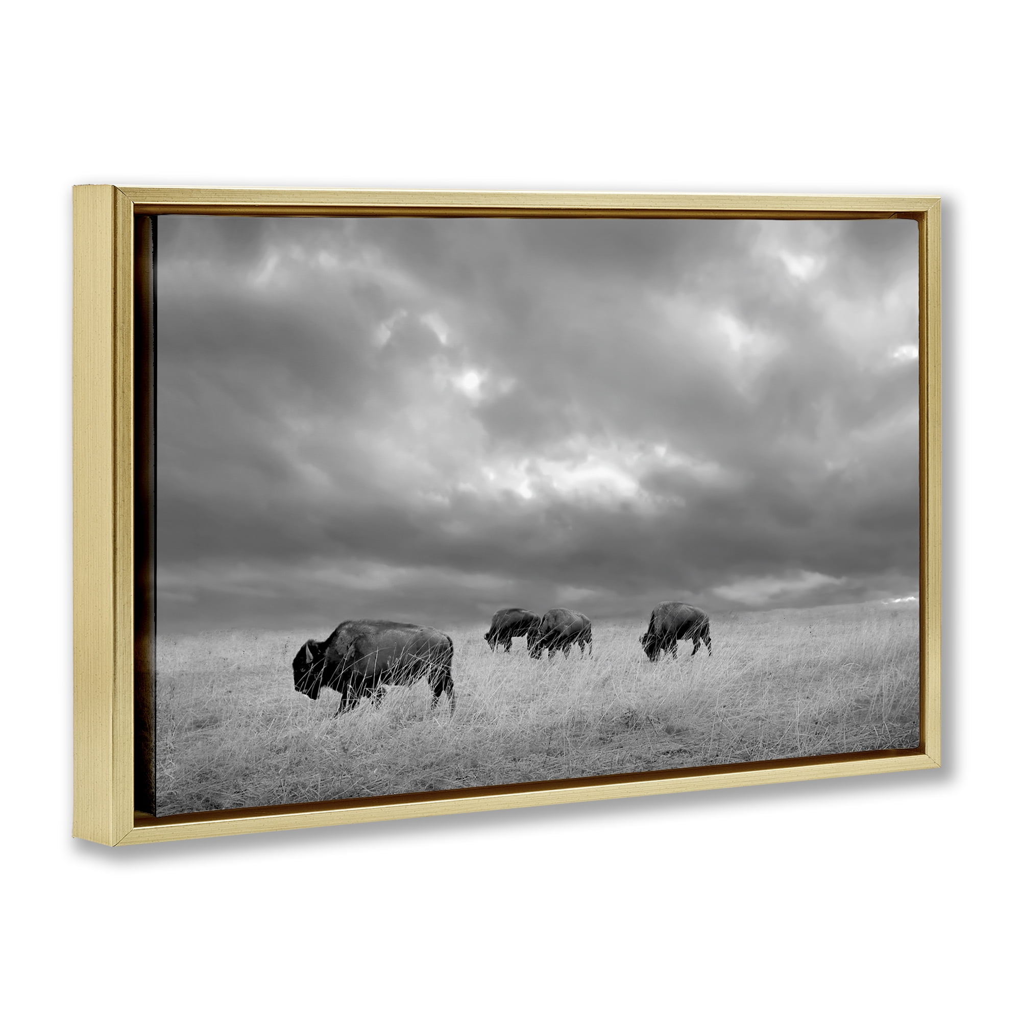 Stupell Industries Bisons Under an Autumn Sky Gold Framed Floater Canvas Wall Art, design by Steve Toole