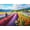 Field of Dreams, variant on Prime Time Puzzles - Difficult 1000 Piece Adult Jigsaw Puzzle - Deer, Cow, Fox, Squirrel and Rabbit - Cute Animals - Hard, Challenging Puzzle Perfect for Game Nights - 20x27 inches