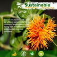 thumbnail image 5 of Old Potters Wildlife Safflower Seed, High Protein Bird Food, Attracts Wildlife, Non-GMO, USA-Grown, 25 lbs, 5 of 8