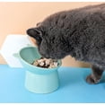 thumbnail image 4 of Comedero elevado Gammel para gatos y perros, cuenco antivómitos para gatos, comedero y bebedero antideslizante, para gatos de cara plana y perros pequeños (verde+verde), 4 of 5