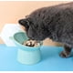thumbnail image 4 of Comedero elevado Gammel para gatos y perros, cuenco antivómitos para gatos, comedero y bebedero antideslizante, para gatos de cara plana y perros pequeños (verde+verde), 4 of 5