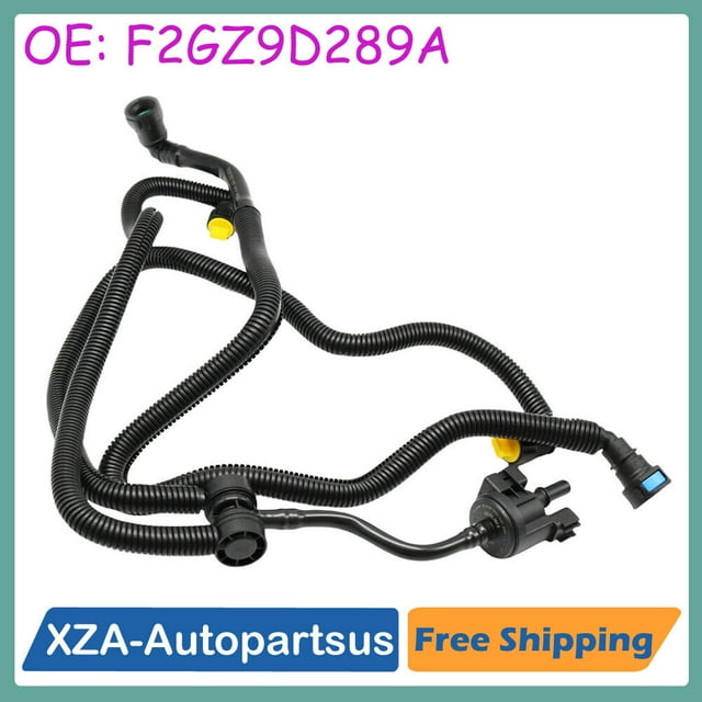 Valve de Purge de Réservoir de Vapeur F2GZ9D289A pour Ford Edge 2.0 2015 2016 2017 2019-