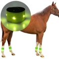 thumbnail image 1 of LED Correa de pierna de caballo Visibilidad Pulseras reflectantes Legging Decoración Cualquier oscura para Muñeca Tobillo Noche Deportes Macarena Correa de tobillo reflectante para pierna, 1 of 8