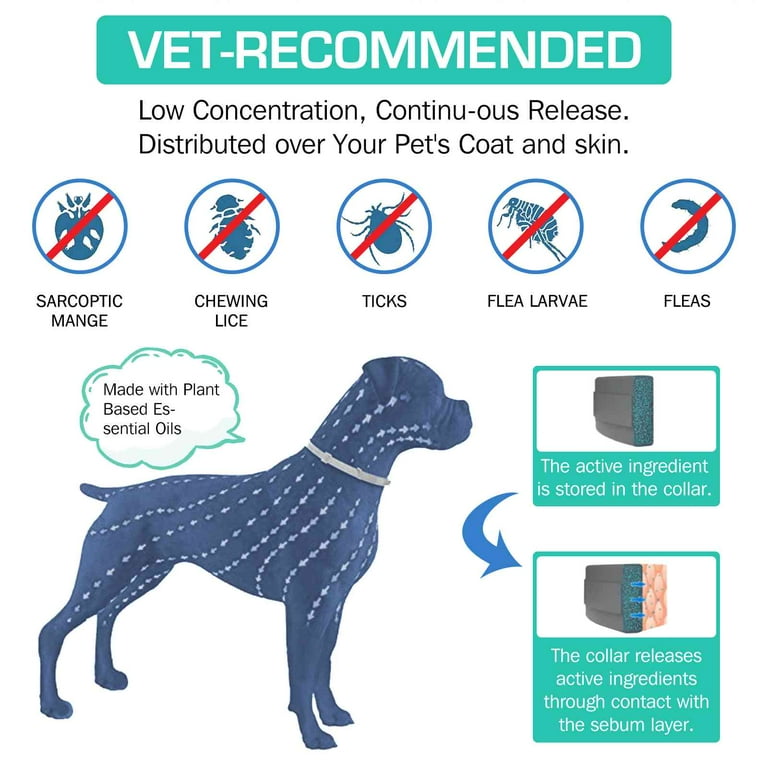 Walmart seresto collar shop dog