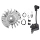 thumbnail image 2 of Bobina de encendido del volante ANGGREK Para MS180 170018017, 2 of 8