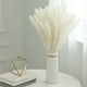 thumbnail image 5 of 40 Piezas de Hierba de Pampa Blanca Seca Natural de 45CM Esponjosa y Oscilante, Planta Bohemia DIY para DecoracióN de Arreglos Florales de Boda, 5 of 5