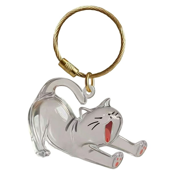 Colgante para gatos, caja para recoger pelo, acrílico transparente, organizador conmemorativo para mascotas, llavero con gancho para colgar, para recuerdos