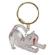 thumbnail image 1 of Colgante para gatos, caja para recoger pelo, acrílico transparente, organizador conmemorativo para mascotas, llavero con gancho para colgar, para recuerdos, 1 of 5