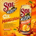 thumbnail image 2 of Cerveza Sol Mezclas Sabor Mangoyada lata 473 ml, 2 of 4