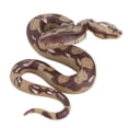 thumbnail image 2 of Serpiente de goma realista de Halloween, juguete de serpiente espeluznante para decoración de fiesta de Halloween, 2 of 6