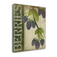 thumbnail image 2 of Tangletown Art, 20 x 20 "Berries " by Jennifer Pugh, Gallery Wrap Canvas Art pri, 2 of 2