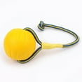 thumbnail image 4 of Pet Dog Play Ball Toy Floating Training Ball with Rope Chew Bite Fetch Ball Interactive Toy Size, 4 of 8